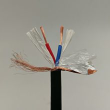 RVVP-1.5