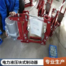 YW-L-315/E80 Һѹʽƶ ƶֱʾ