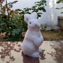 仿真兔子动物玩偶儿童毛绒玩具兔子静态动物模型小白兔灰兔公仔