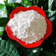 供应硅藻土煅烧硅藻土白色硅藻土粉硅藻泥用硅藻土量大从优