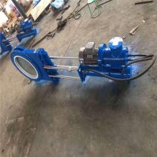 PZ273TC-16C ҺմɵբͳˢմɵբP Z273TC բ DN800 Һբ