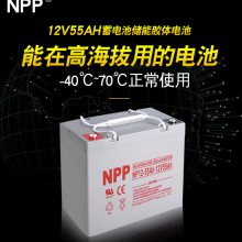 NPP NPG12-24  EPSUPSԴ 12V24AH