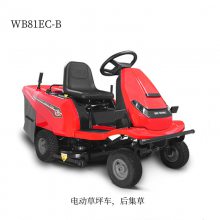 81cm綯ƺWB81EC-Bάweibangʽ72v﮵ظݻ