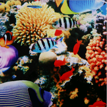 άǽװЧͼPVCľܵɰ300