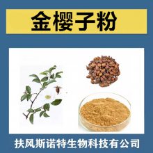 金樱子粉 斯诺特生物 三遍水提浓缩 压片糖果原料