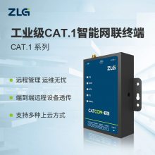 ZLGSIMͨѶZWG-40COMRS485͸GPRS 4G LTEͨŹҵ豸DTU