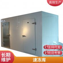 压缩机 小速冻库 冷藏车间工程建造