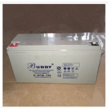 BUDDY6-CNJ-2012V20AHܴ۸