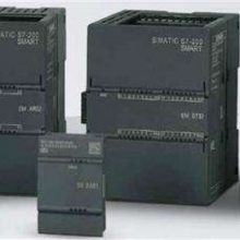 Ӵ6ES7288-1ST20-0AA1 S7-200SMART CPUģ ׼