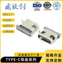 type-cĸ 24Pǰ ˮȦTYPEC 3.1USBĸ