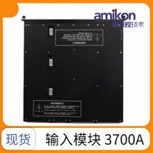 г:TRICONϵͳAI 3700Aʡ/ֱ2023ȫ++