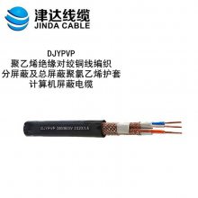津达DJYPVP 1*2 2*2芯*1 1.5平方电子计算机用电缆