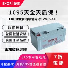 EXOREX65-12  ά