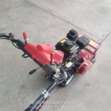 ԰Ӳݻ ĳݷ黹 ǰݻ