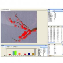 植物根系统分析仪根系分析系统