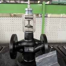 VXG45.40ӻװֵͨ綯ڷDN40-SKD