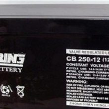  CB250-12 12V250AH UPS/EPS ֱ Ǧά