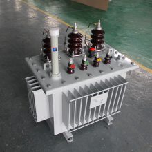 ȫͭ߰  ͽʽѹ S11-250KVA 10/0.4KV ɶ