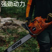 ECHO/CS-610; 20緥ľ;