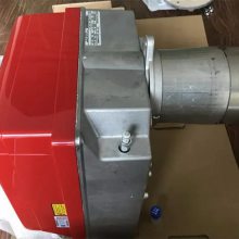 Riello·ȼտȫϵRLS28,RLS38,RLS50,GAS6,GAS7һ