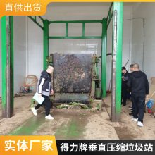 乡镇上使用/垃圾处理压缩中转站 四川供货垃圾压缩处理中转站 老厂实在