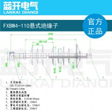  FXBW4C10ʽϾԵӰʽϾԵ