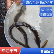 ۷ˮ 糤ڳ Ʒ*** ڶٶȿ