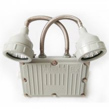 LED˫ͷӦ Ӧ BCJ-210W ֱ ȫ