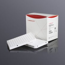 LABSELECT PP-96-HS-LC480-W 0.1ml 96װȹ PCR