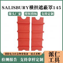 ҵԵSALISBURYᵣڱ145֬