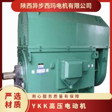 ѹYKK6303-8 1000KW˼һǧǧ 10KV IP54