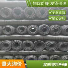 圈地隔离围墙塑料网 养鸡鸭鹅防护网 黑色双向土工格栅