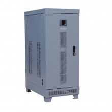 豦TNS-6KVA-20KVA/ȫԶֵʽѹ