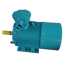 ļú͵YBK3-355M2-4-250KWõ綯