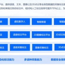 AI数据服务要求精细化发展，品牌数据服务商价值开始凸显