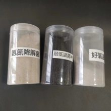 粪污罐体发酵专用菌种 菌群配比合理活性强复合微生物原种