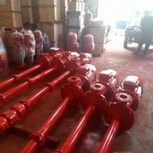 3CF电动机消防泵 XBD6.0/5-G-L 系统喷淋消防泵厂家 消火栓泵AB签认证