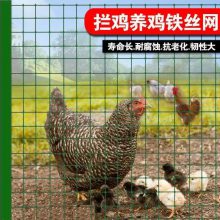 果园防护铁丝网 养殖养鸡围栏网 圈地养鸭铁丝护栏