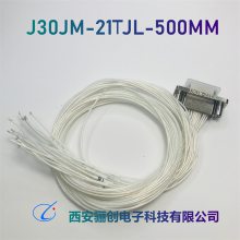  J30JM-21TJP-300MM J30JM-21ZKL-300MM 괴