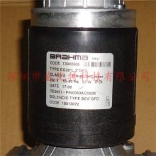 BRAHMA EG30*L.2*GFD1ȼŷ EG30*L.2*GMO