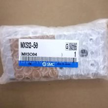 MXS12-50/MXS12-40AS/MXS12-30Aԭװsmc̨  