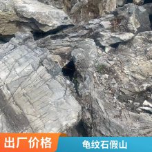 庭院大型奇石 轩阳 异形龟纹石 公园装饰景观石 任意挑选