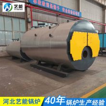 艺能燃气燃油蒸汽锅炉 蒸汽发生器 卧式导热油炉