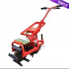 綯سݻ ʵ綯ݻ ؿһ