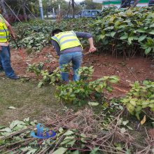 承接老旧路改造工程 凯中施工地下管网改造工程队