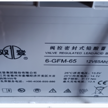 Ǧ˫Ʒܱʽ 6-GFM-65 (C20)