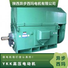 ѹYKK6303-8 1000KW˼һǧǧ 10KV IP54