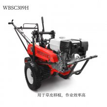 άWBSC309HƤʽͲƺֲ