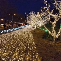 led彩灯100米挂星星灌胶防水闪灯串灯满天星LED灯串装饰圣诞树灯