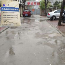 ǿȸߡǿ ǿ·޲̩ɭͽĹӦ